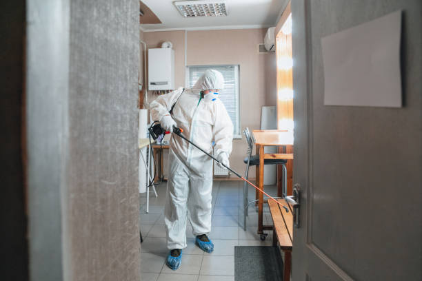 Blauvelt, NY Mold Removal Company